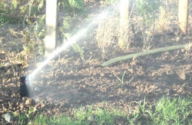 Prinşi cu baroasele în mâini, spărgând sistemele de irigaţii